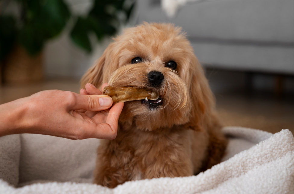 Chicken Jerky