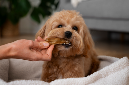 Chicken Jerky